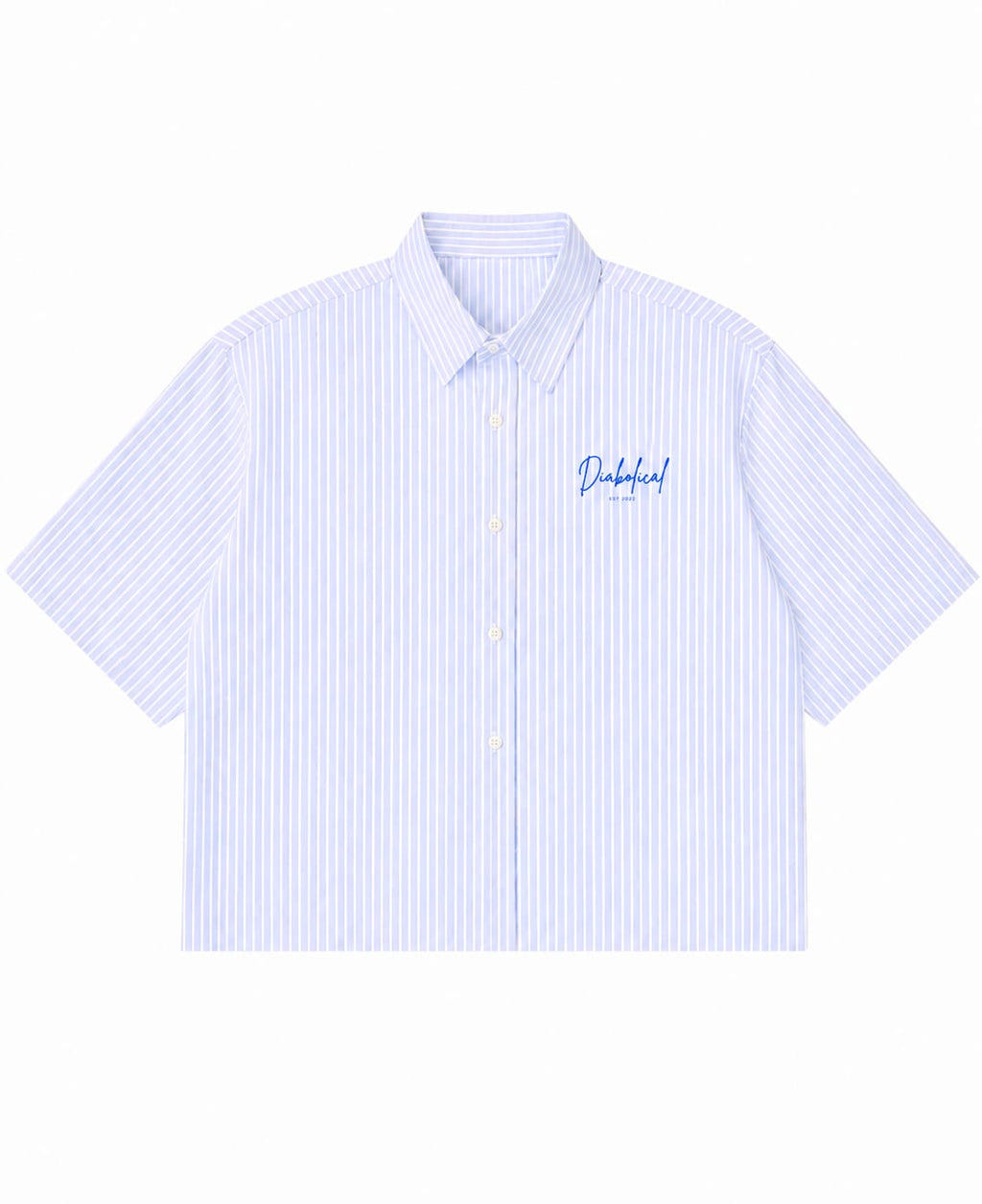 Blue Striped oxford Boxy fit Shirt