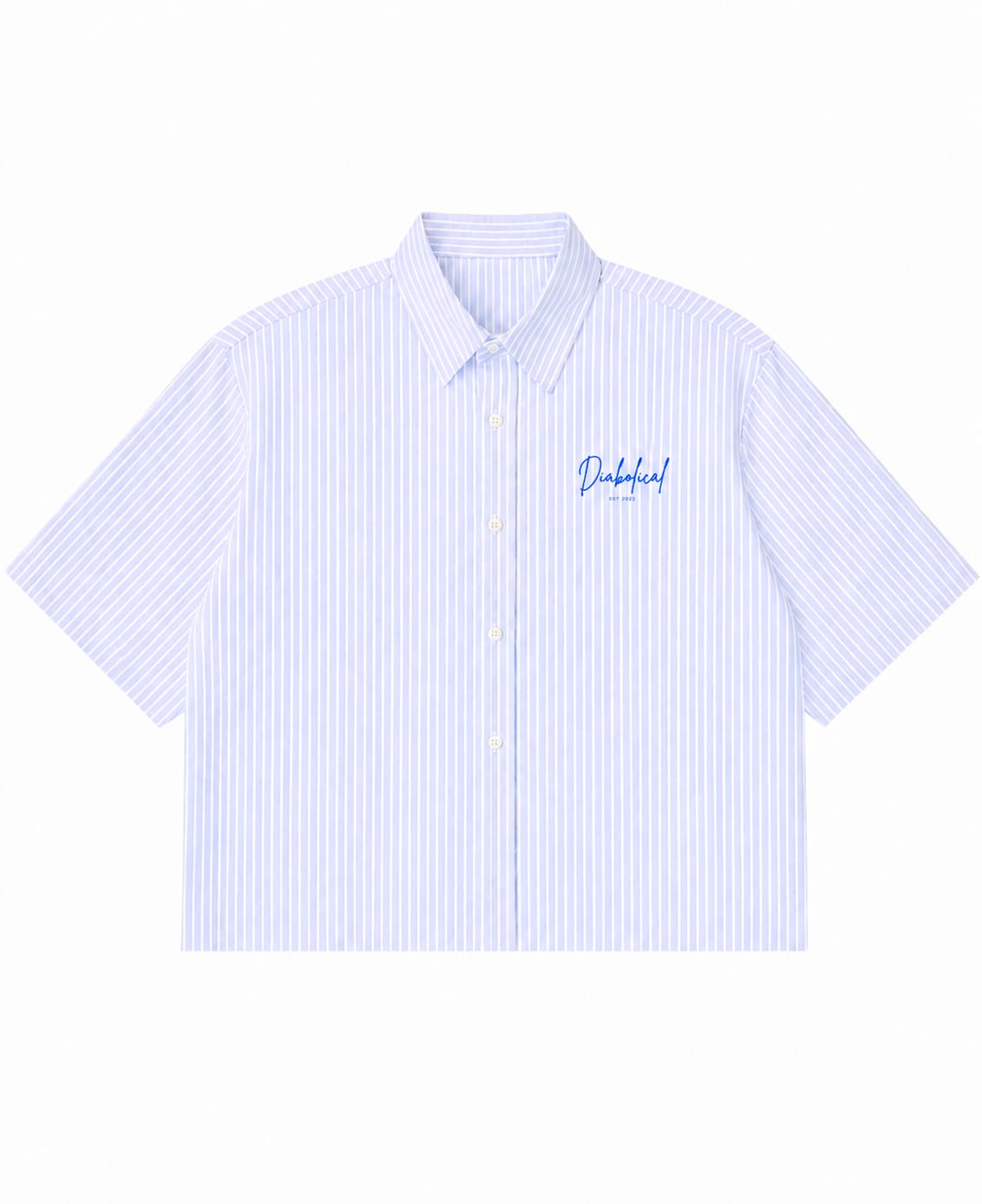 Blue Striped oxford Boxy fit Shirt