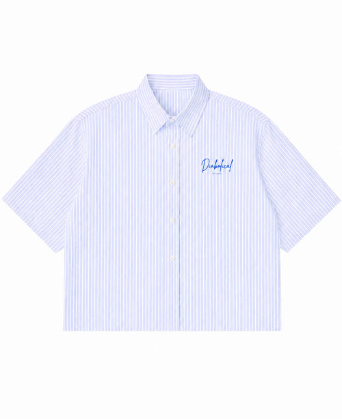 Blue Striped oxford Boxy fit Shirt